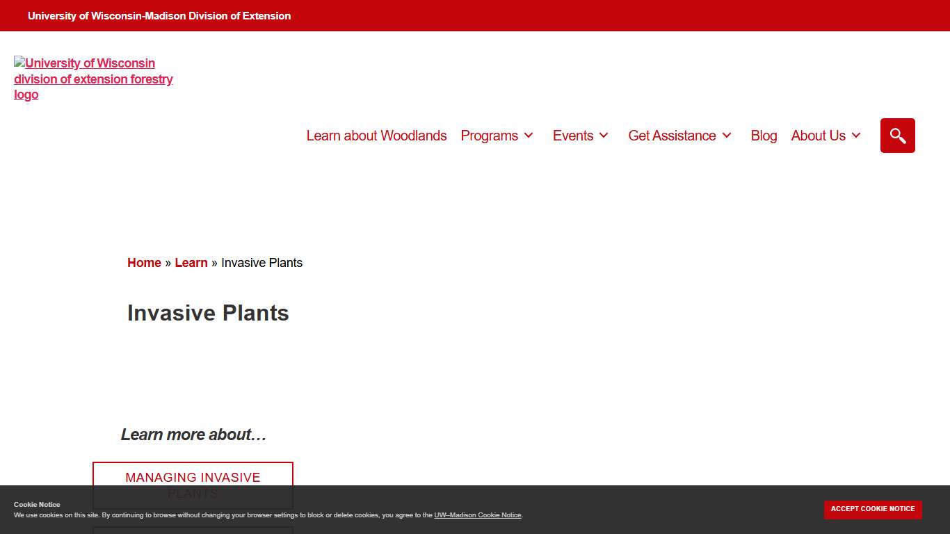 Invasive Plants - UW-Madison Extension Forestry